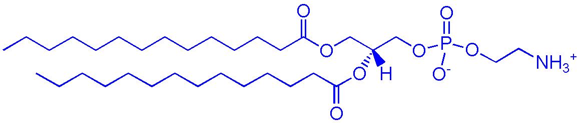 DMPE（1,2-二肉豆蔻酰-sn-甘油-3-磷酰乙醇胺）,1,2-dimyristoyl-sn-glycero-3-phosphoethanolamine