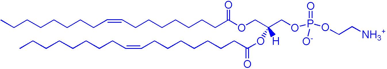 DOPE（1,2-二油酰基-sn-丙三基-3-磷脂酰乙醇胺）,1,2-dioleoyl-sn-glycero-3-phosphoethanolamine