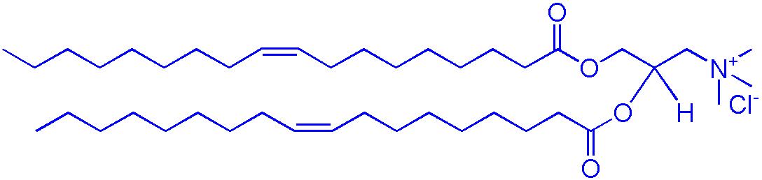 DOTAP（2,3-二油酰基-丙基）-三甲基铵-氯盐,1,2-dioleoyl-3-trimethylammonium-propane (chloride salt)