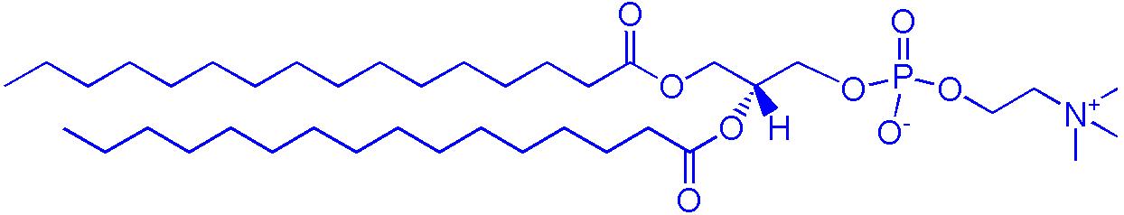 DPPC（1,2-二棕榈酰-sn-甘油-3-磷酰胆碱）,1,2-dipalmitoyl-sn-glycero-3-phosphocholine