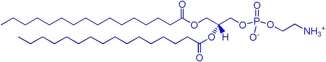 DPPE（1,2-二棕榈酰基-sn-丙三基-3-和磷酸乙氨醇）,1,2-dipalmitoyl-sn-glycero-3-phosphoethanolamine