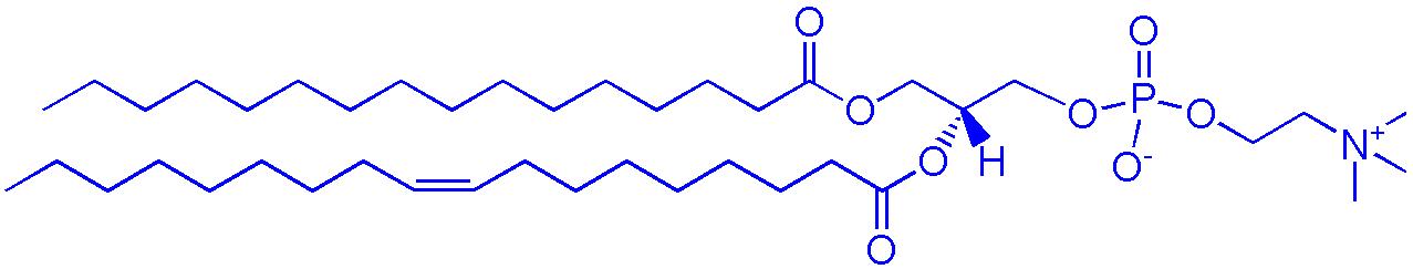 POPC（1-棕櫚?；?2-油酰基卵磷脂）,1-palmitoyl-2-oleoyl-glycero-3-phosphocholine