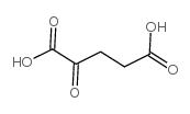 α-酮戊二酸,α-Ketoglutaric acid