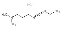 1-乙基-3-（3-二甲氨丙基）碳二亚胺盐酸盐,EDC·HC1