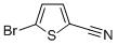 5-溴噻吩-2-甲腈,5-bromothiophene-2-carbonitrile