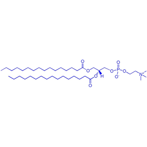 DPPC（1,2-二棕榈酰-sn-甘油-3-磷酰胆碱）,1,2-dipalmitoyl-sn-glycero-3-phosphocholine