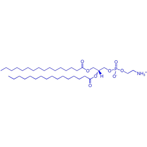 DPPE（1,2-二棕榈酰基-sn-丙三基-3-和磷酸乙氨醇）