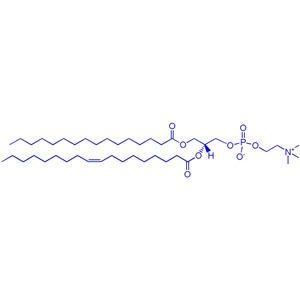 POPC（1-棕榈酰基-2-油酰基卵磷脂）