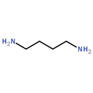 腐胺,Putrescine dihydrochloride
