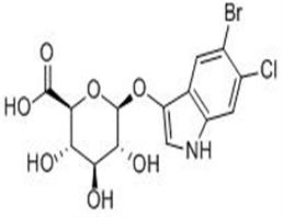 5-溴-4-氯-3-吲哚基-Β-D-吡喃葡萄糖醛酸,5-Bromo-6-chloro-3-indolyl-β-D-glucuronide