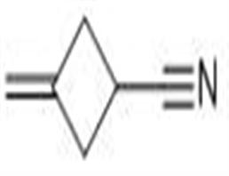 3-亚甲基环丁基甲腈,3-methylidenecyclobutane-1-carbonitrile