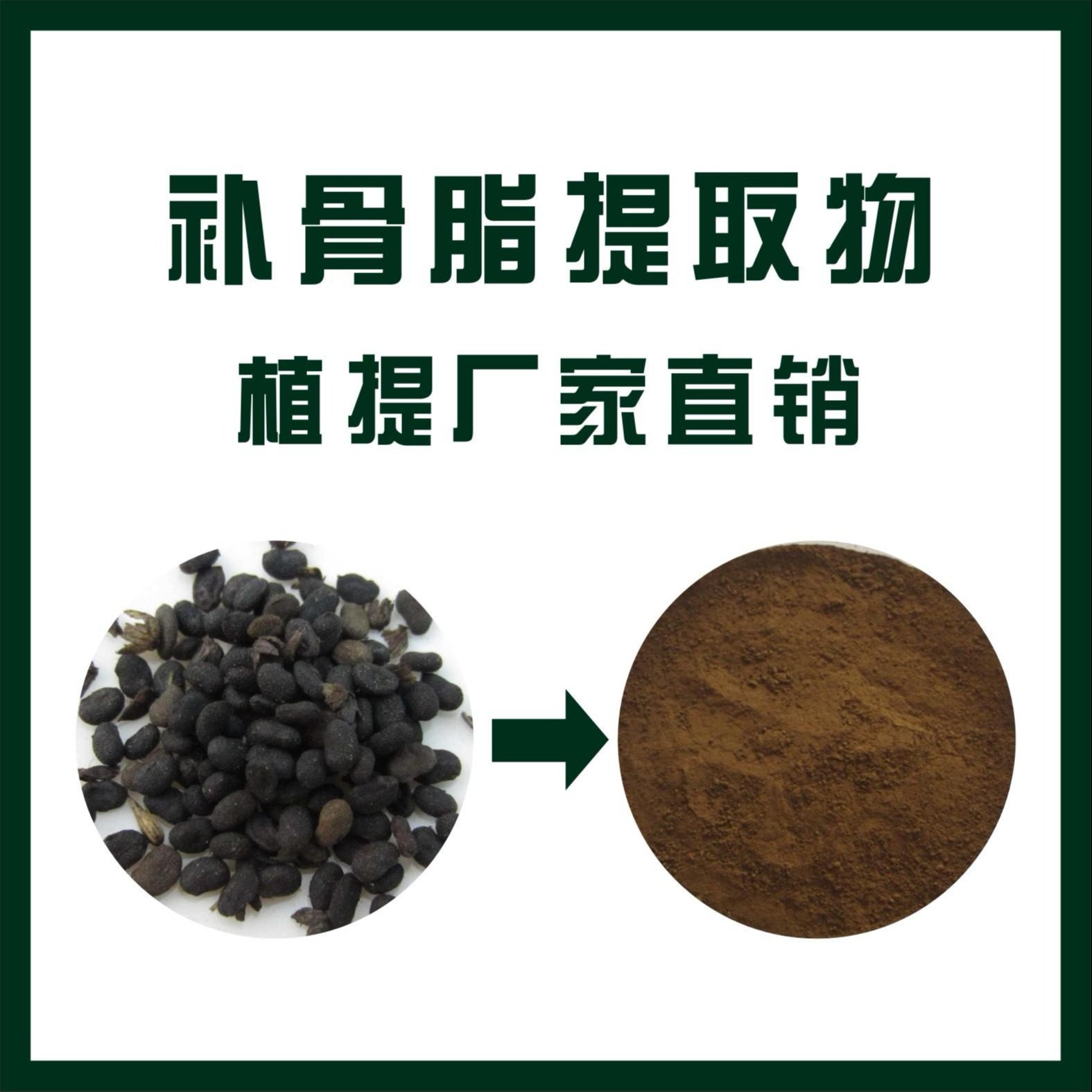 补骨脂提取物,Malaytea Scurfpea Fruit  P.E.