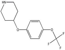 4-[4-(TrifluoroMethoxy)phenoxy]piperidine