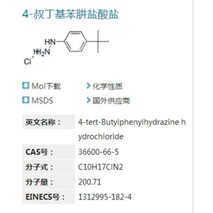 4-叔丁基苯肼盐酸盐,4-tert-Butylphenylhydrazine monohydrochloride