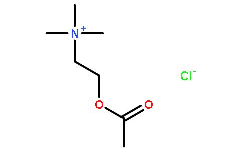 氯化乙酰胆碱,ACH