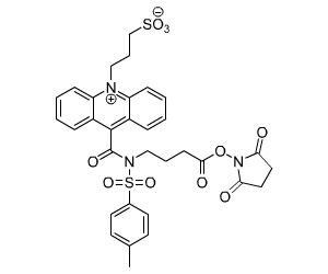 磺酸丙基吖啶酸-NHS酯 （NSP-SA-NHS）,3-(9-((4-(2,5-dioxopyrrolidin-1-yloxy)-4-oxobutyl)(tosyl) carbamoyl)acridinium-10-yl)propane-1-sulfonate（NSP-SA-NHS