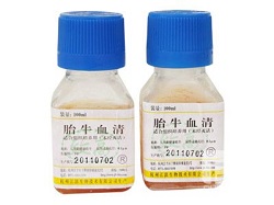 胎牛血清,FETAL BOVINE SERUM USA ORIGIN