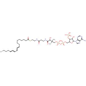 亚麻酰基辅酵素 a,18:2,linoleoyl-CoA