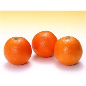 柑橘提取物