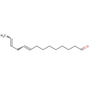 (Z,E)-9,12-十四碳二烯醛,9,12-Tetradecadienal, (9Z,12E)-