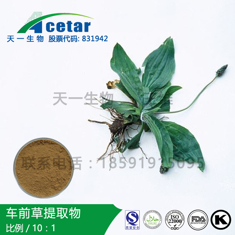 车前草取物，Asia Plantain Extract,Asia Plantain Ext;Plantago Herb Extract