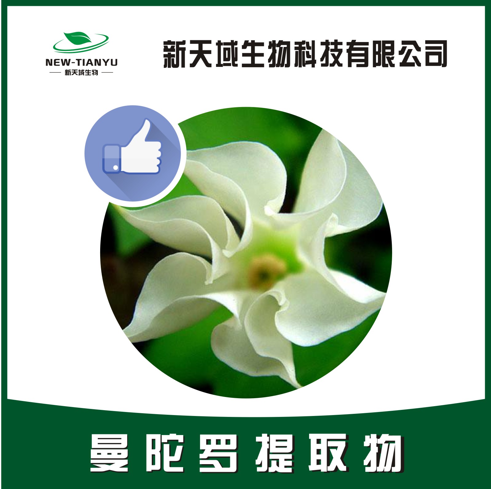 曼陀罗提取物,Datura extract