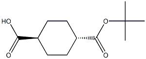 反式-1,4-环己基二甲酸单叔丁酯