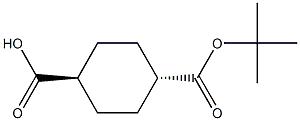 反式-1,4-環(huán)己基二甲酸單叔丁酯