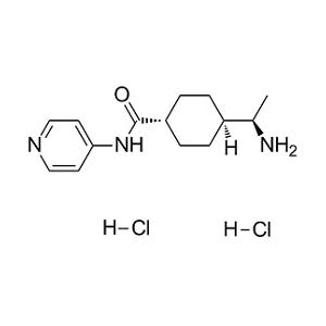 Y-27632 dihydrochloride,Y-27632 dihydrochloride