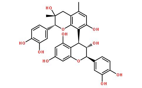 葡萄籽提取物,Grape Seed Extract