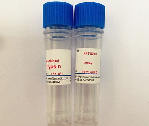 重组胰蛋白酶,Recombinant porcine trypsin