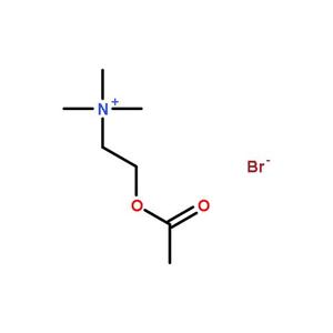 溴化乙酰胆碱,ACH