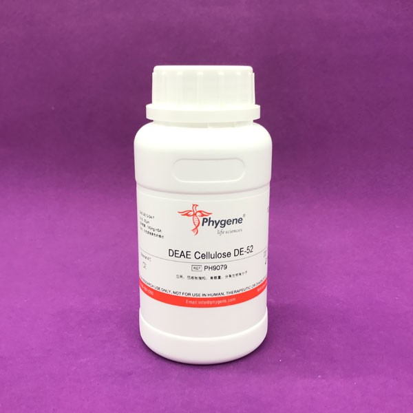 纖維素 DE-52,DEAE Cellulose DE-52