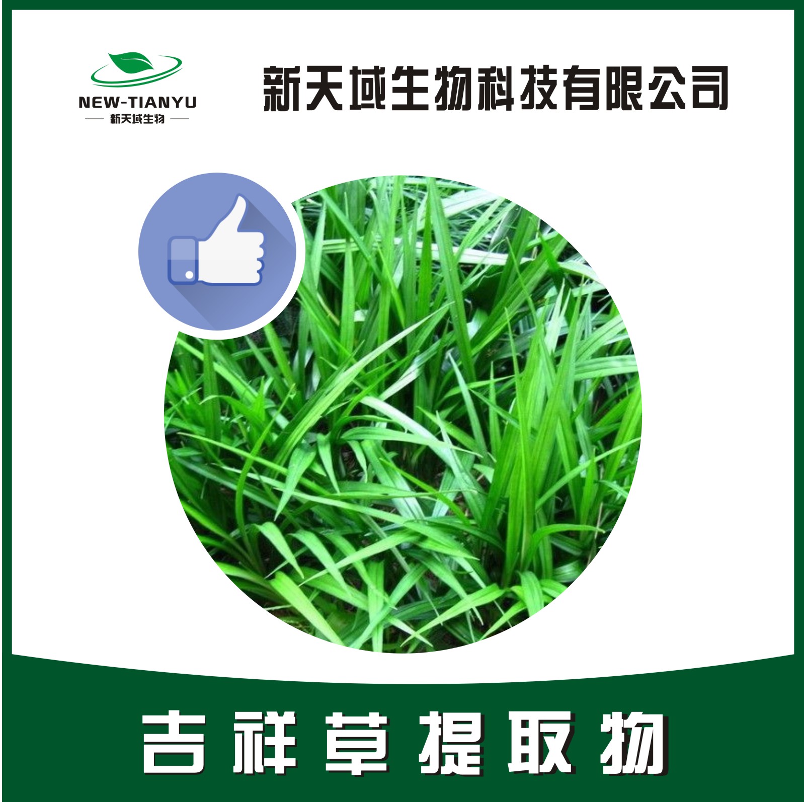 吉祥草提取物,Herba Reineckeae Carneae。