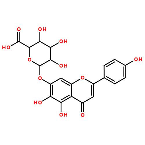 野黄芩苷,Scutellarin