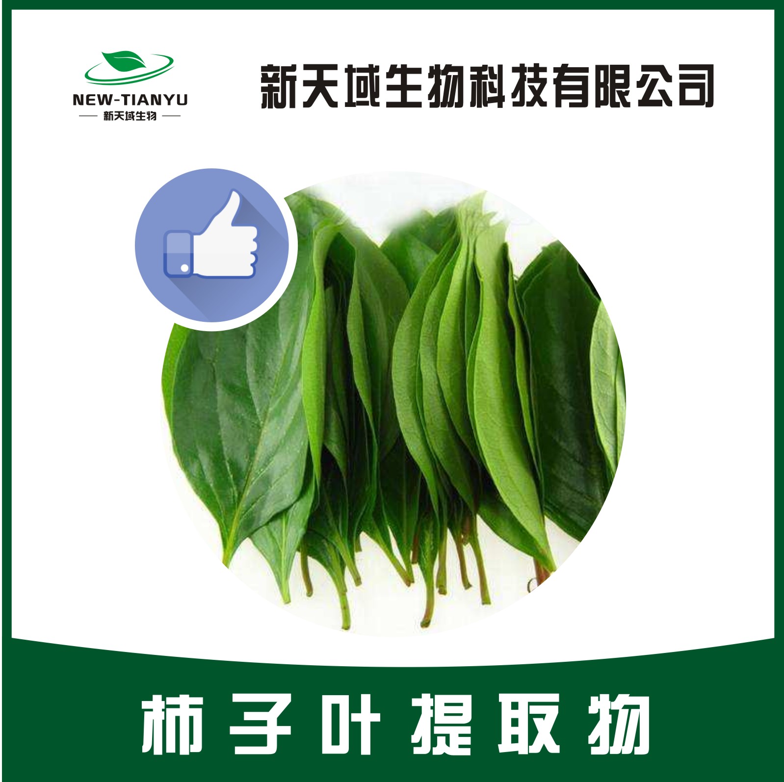 柿子叶提取物,Persimmon leaf extract