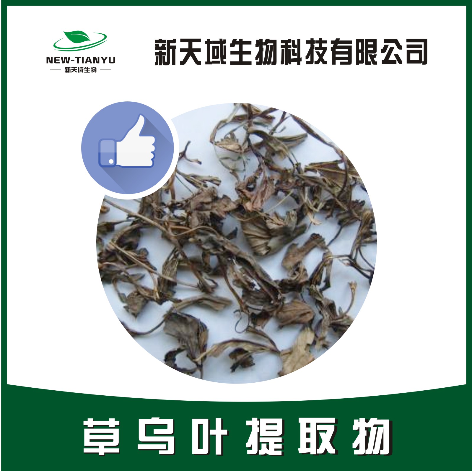 草乌叶提取物,Aconiti Kusnezoffii Folium