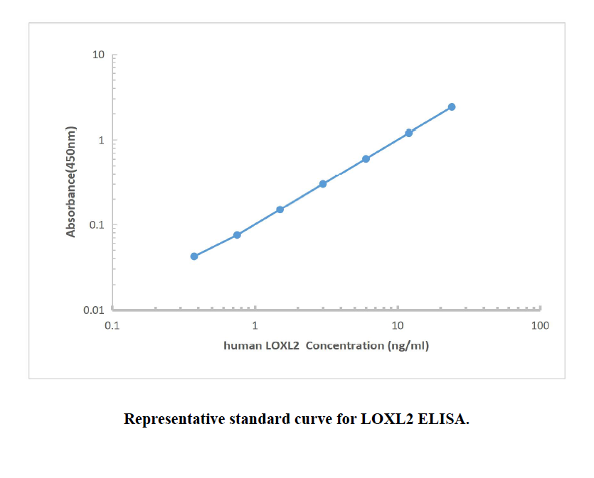 Human LOXL2 ELISA KIT,Human LOXL2 ELISA KIT