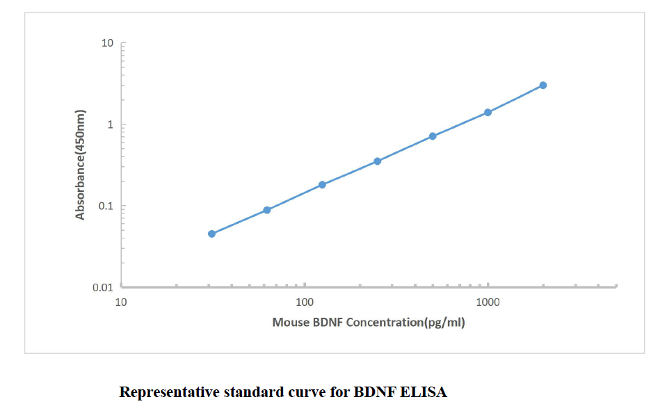 Mouse BDNF ELISA Kit,Mouse BDNF