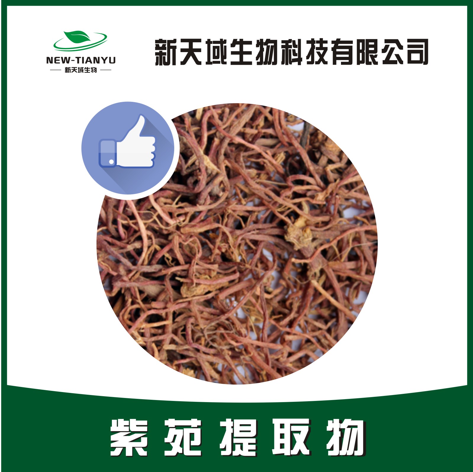 紫苑提取物,Tatarian Aster Root。