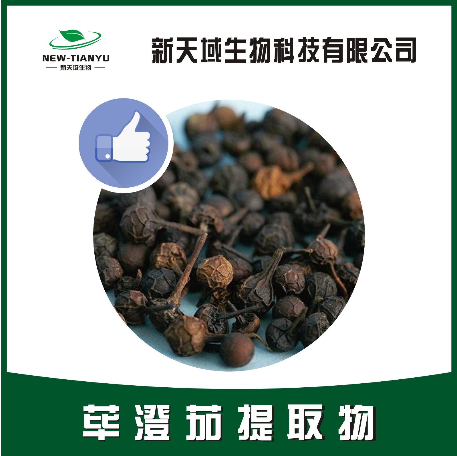 荜澄茄提取物,Litseae Fructus。