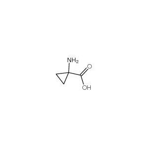 1-氨基环丙烷羧酸,ACC