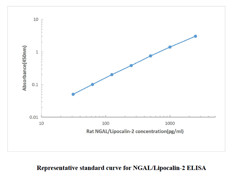 Rat NGAL ELISA KIT,Rat NGAL ELISA KIT