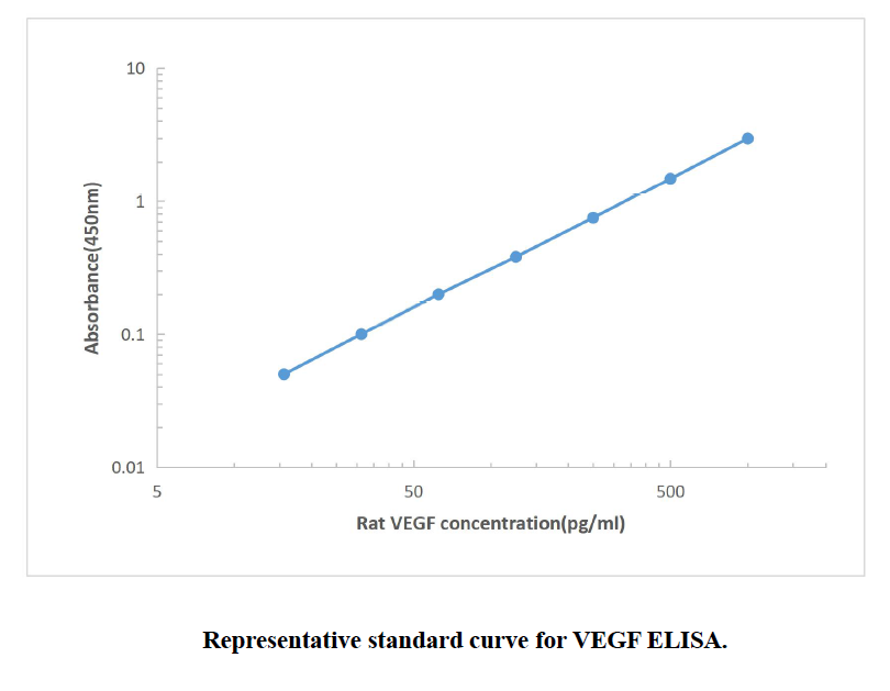 大鼠血管内皮生长因子（VEGF）酶联免疫试剂盒