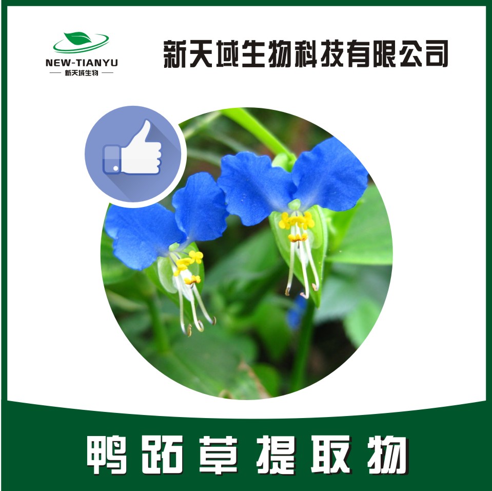 鸭跖草提取物,Commelinae Herba