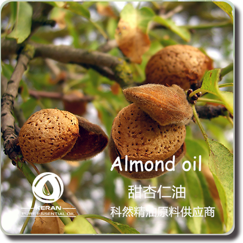 甜杏仁油,Almond Sweet Refined Carrier Oil