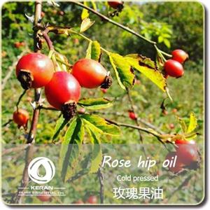 玫瑰果油,ROSE HIP OIL