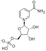 β-煙酰胺單核苷酸,β-Nicotinamide Mononucleotide