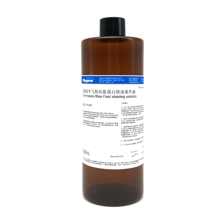 G250考马斯蛋白快速染色液,Commassie?Blue?Fast?staining?solution