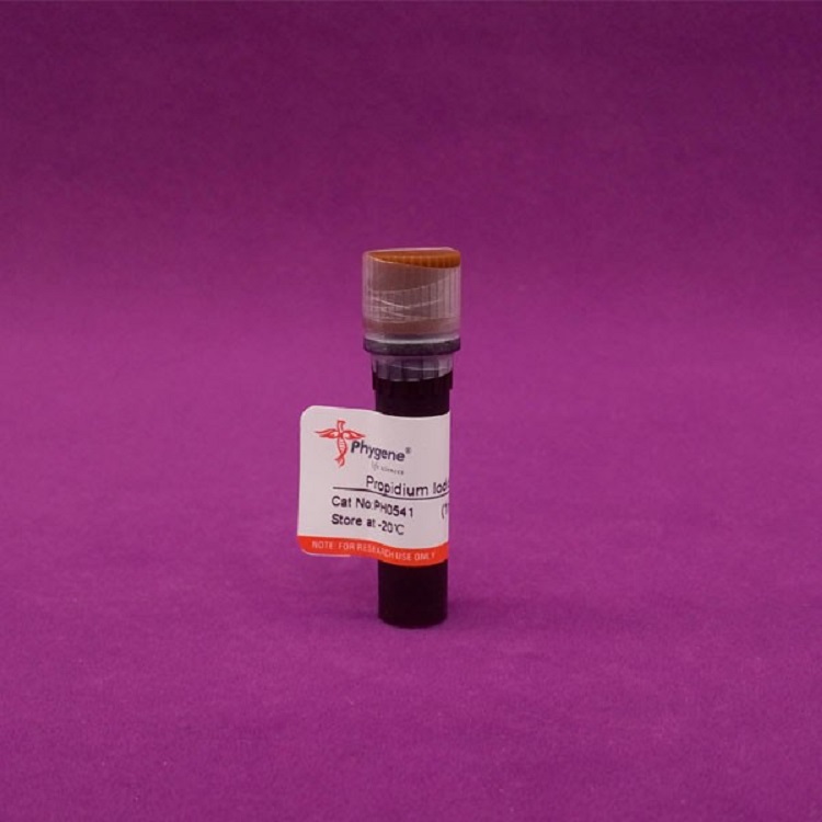 碘化丙啶PI溶液,Propidium Iodide Staining Solution